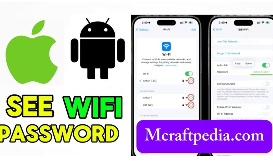 How To Check WiFi Password: Password Encryption
